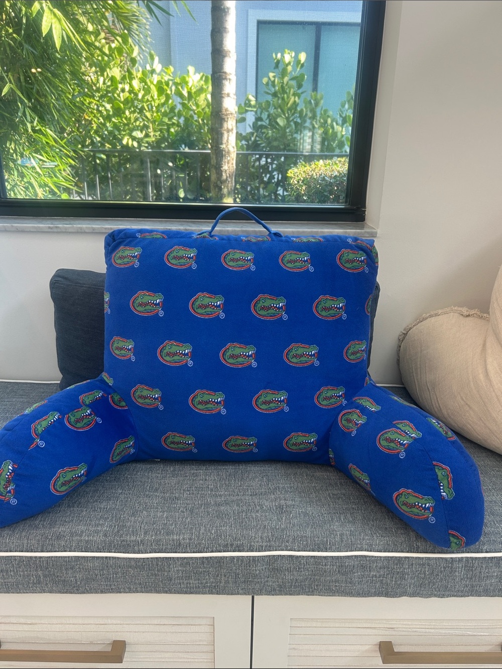 University of Florida Boyfriend Pillow